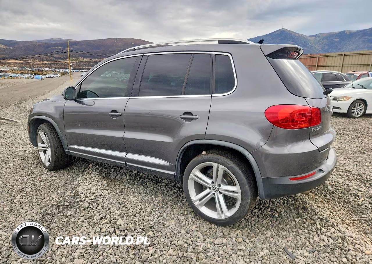 2014 Volkswagen Tiguan S VIN:WVGBV3AX5EW560099 - 2