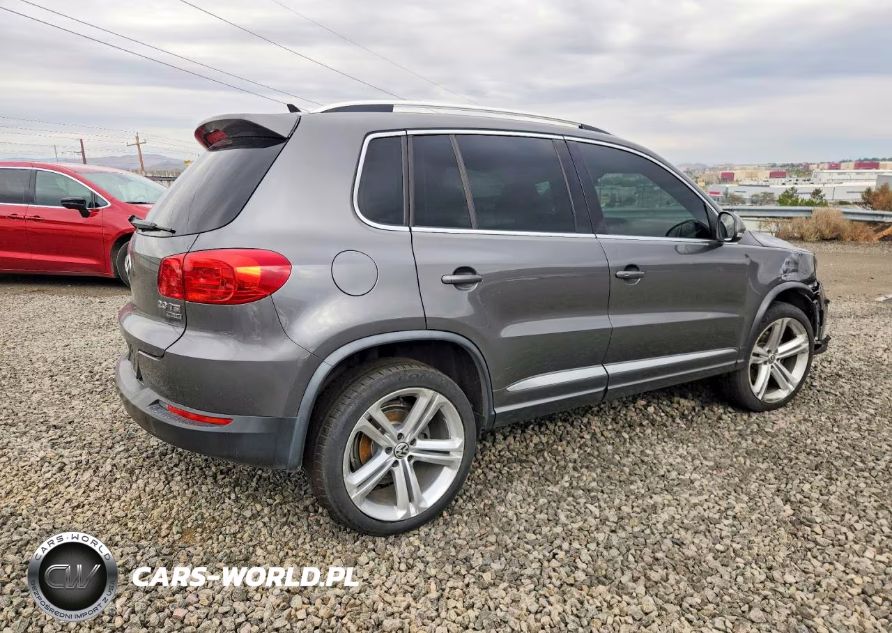 2014 Volkswagen Tiguan S VIN:WVGBV3AX5EW560099 - 3