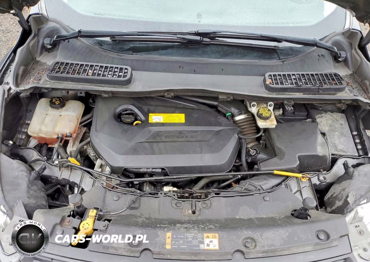 2016 Ford Escape Se VIN:1FMCU0GX9GUB33438 - 12