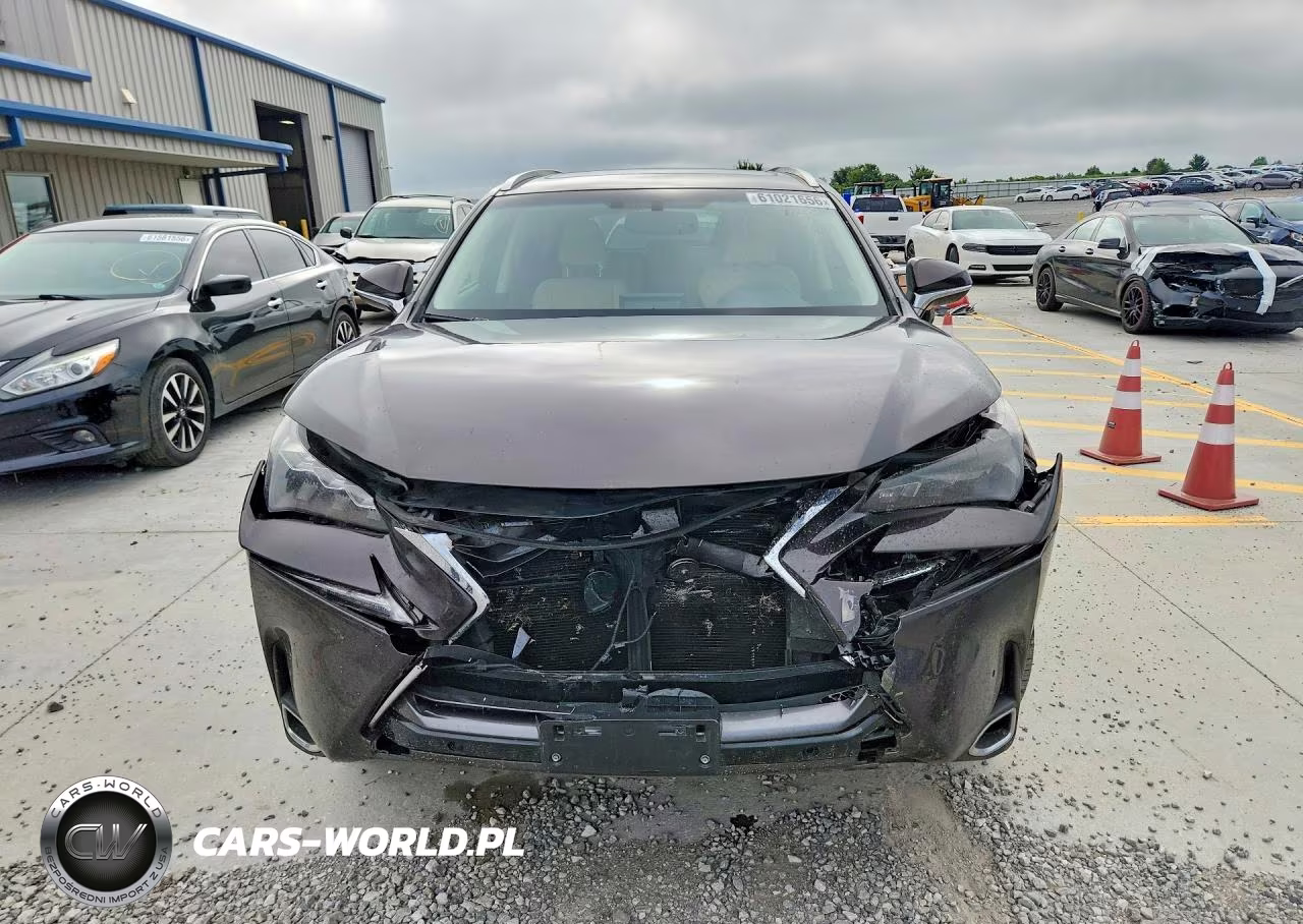 2015 Lexus Nx 300H VIN:JTJBJRBZ8F2008718 - 5