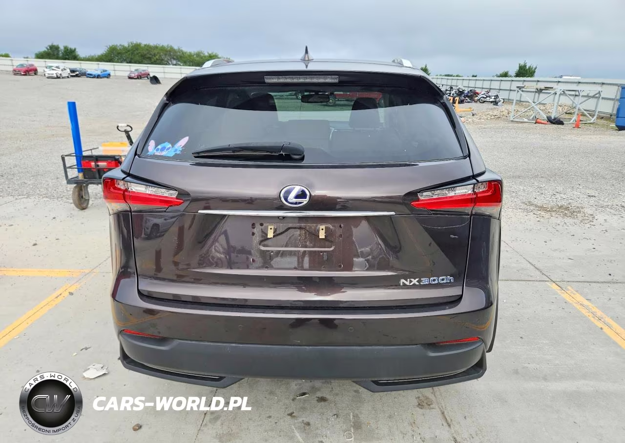2015 Lexus Nx 300H VIN:JTJBJRBZ8F2008718 - 6