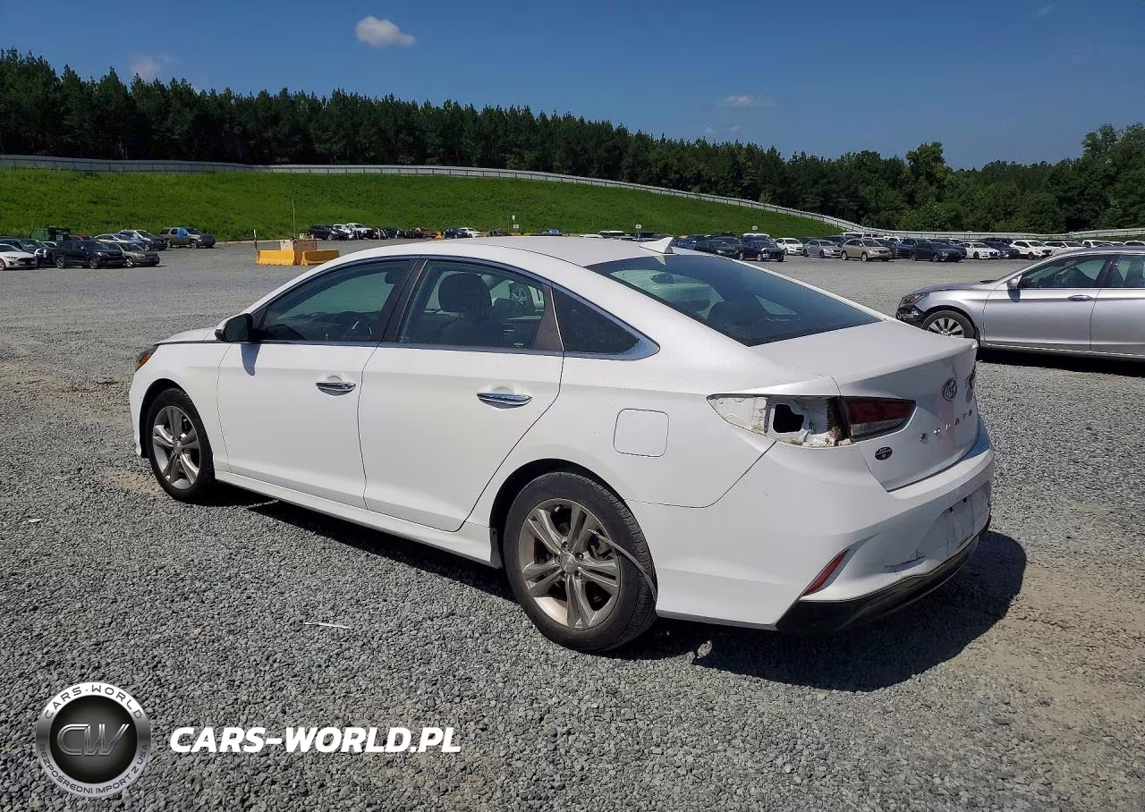 2019 Hyundai Sonata Sel VIN:5NPE34AF5KH788724 - 2