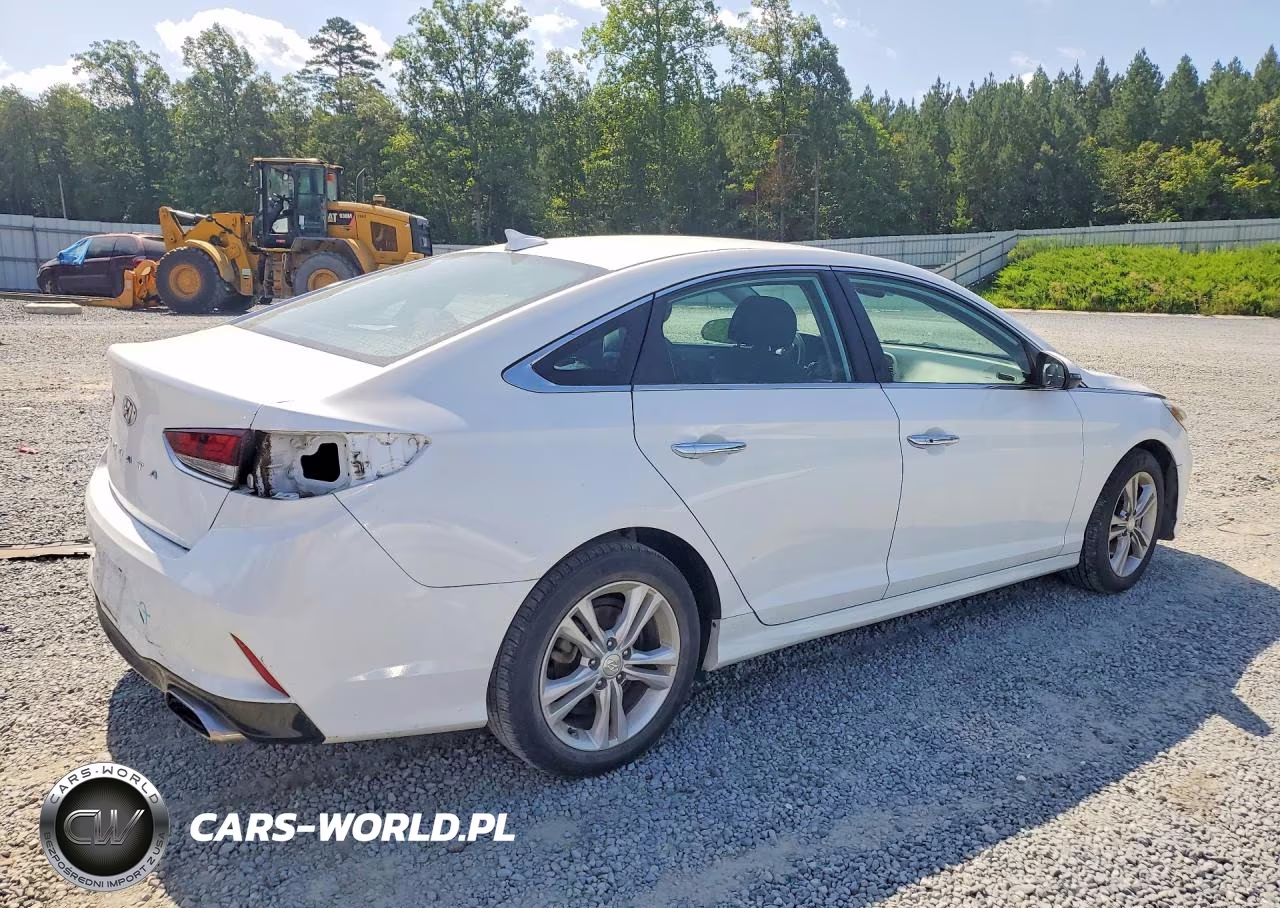 2019 Hyundai Sonata Sel VIN:5NPE34AF5KH788724 - 3
