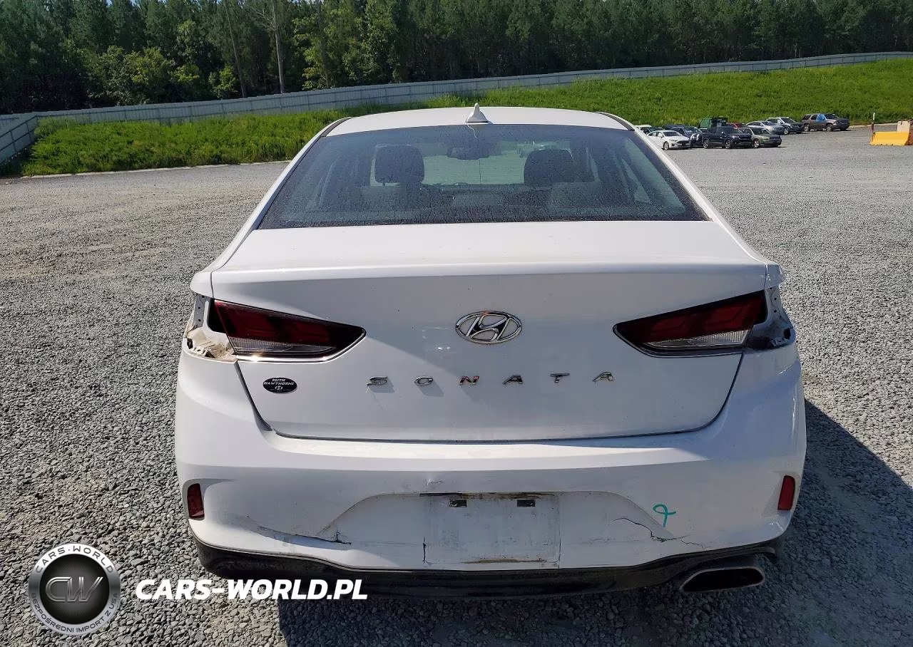 2019 Hyundai Sonata Sel VIN:5NPE34AF5KH788724 - 6