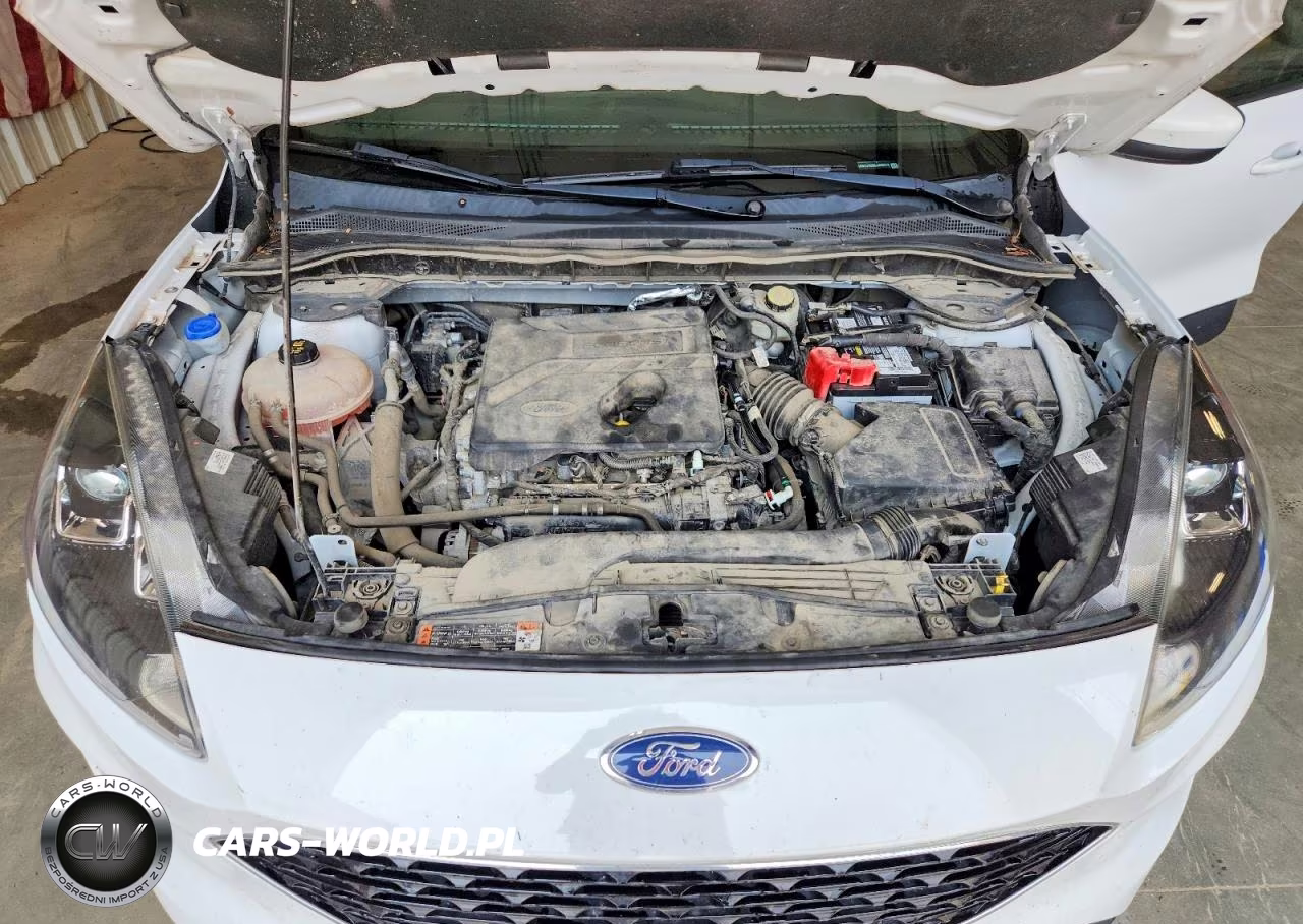 2020 Ford Escape Se VIN:1FMCU9G66LUA09214 - 12