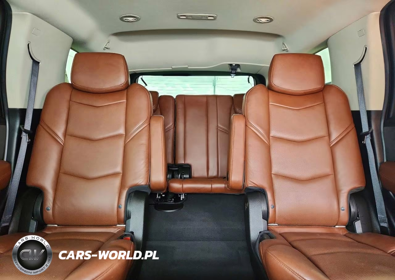 2020 Cadillac Escalade Premium Luxury VIN:1GYS4CKJ4LR174412 - 10