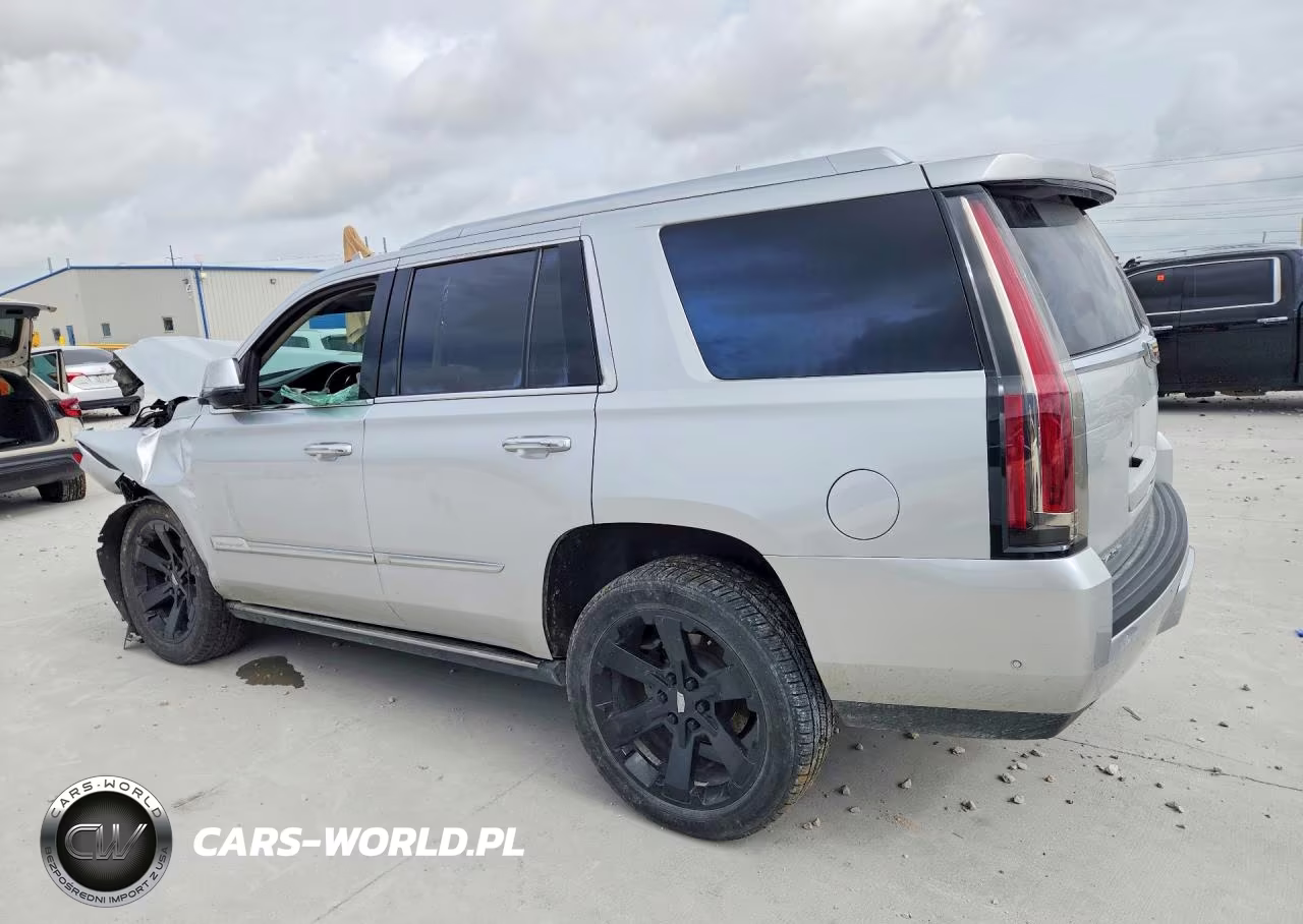 2020 Cadillac Escalade Premium Luxury VIN:1GYS4CKJ4LR174412 - 2