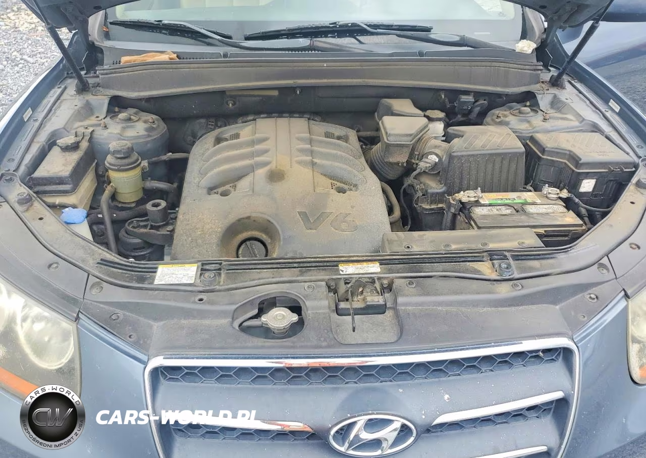 2008 Hyundai Santa Fe Se-Limited VIN:5NMSH73E28H178540 - 11