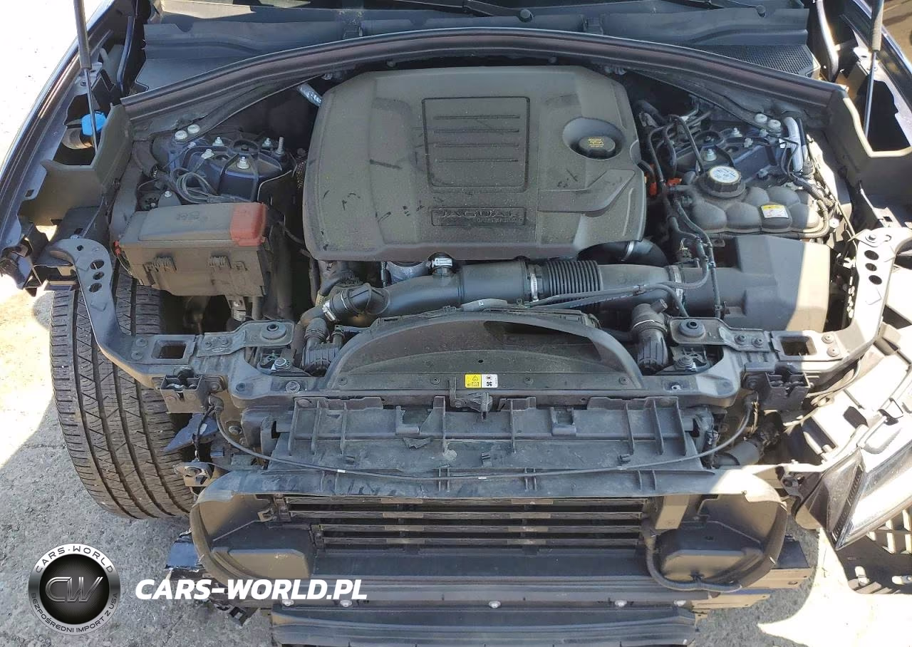 2024 Jaguar F-Pace R-Dynamic S VIN:SADCT2EX3RA729966 - 12