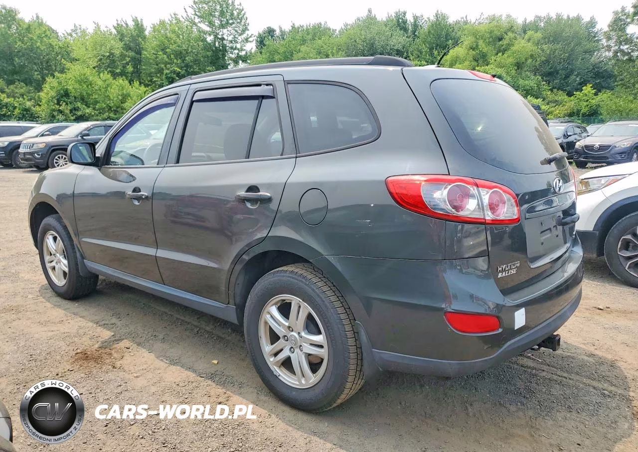 2010 Hyundai Santa Fe Gls VIN:5NMSGDAB4AH376570 - 2