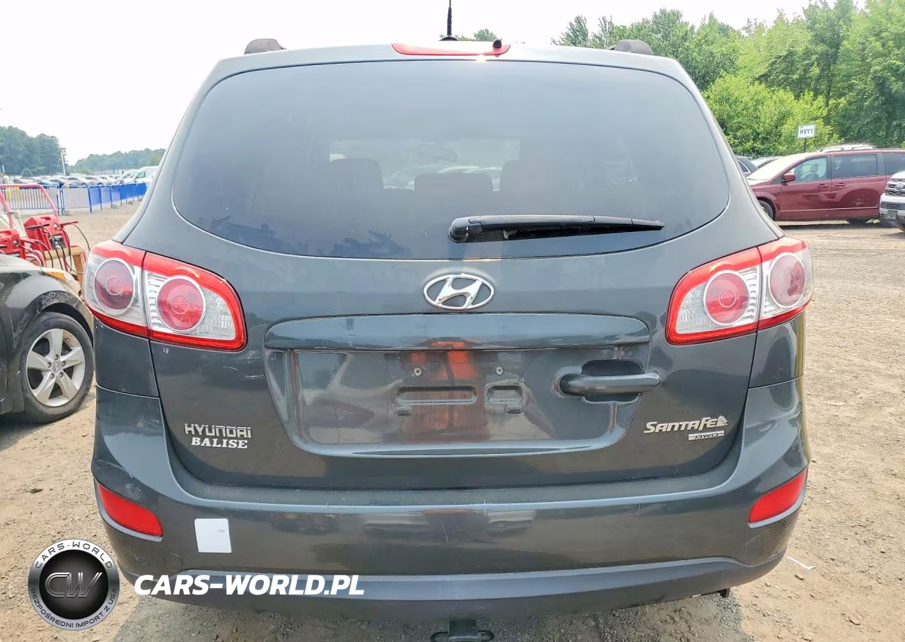 2010 Hyundai Santa Fe Gls VIN:5NMSGDAB4AH376570 - 6