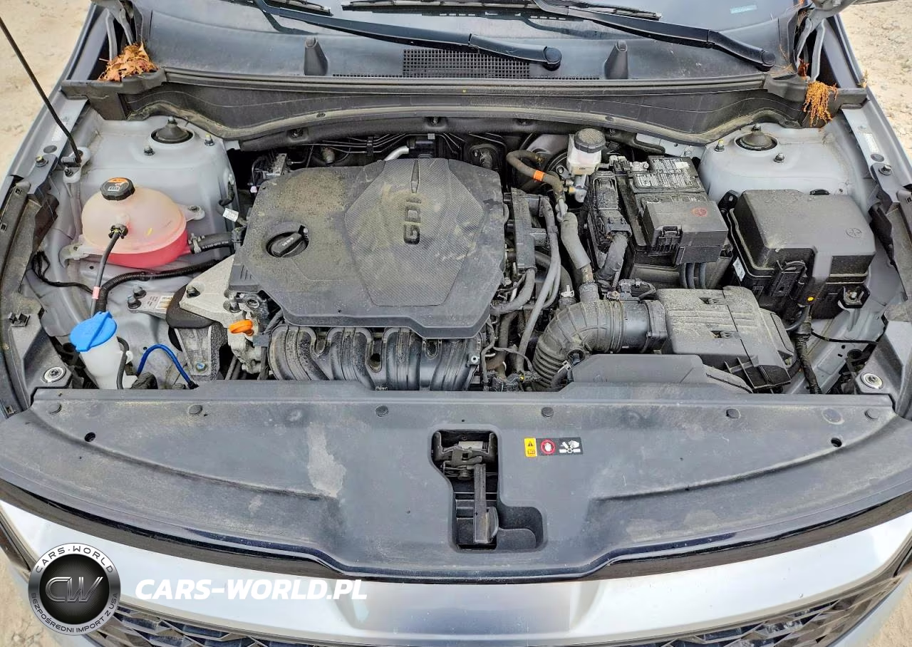 2023 Kia Sportage Sx VIN:5XYK4CAF7PG044941 - 12