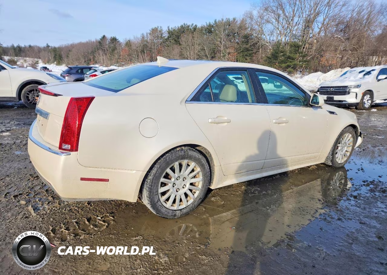 2011 Cadillac Cts Luxury Collection VIN:1G6DG5EY9B0165124 - 3