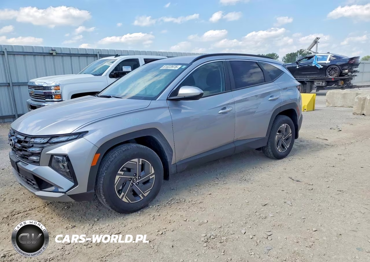 2025 Hyundai Tucson Blue VIN:KM8JBDD13SU346608 - 1