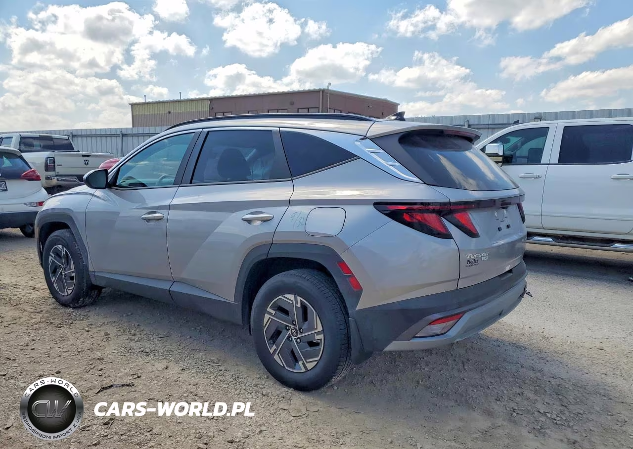 2025 Hyundai Tucson Blue VIN:KM8JBDD13SU346608 - 2