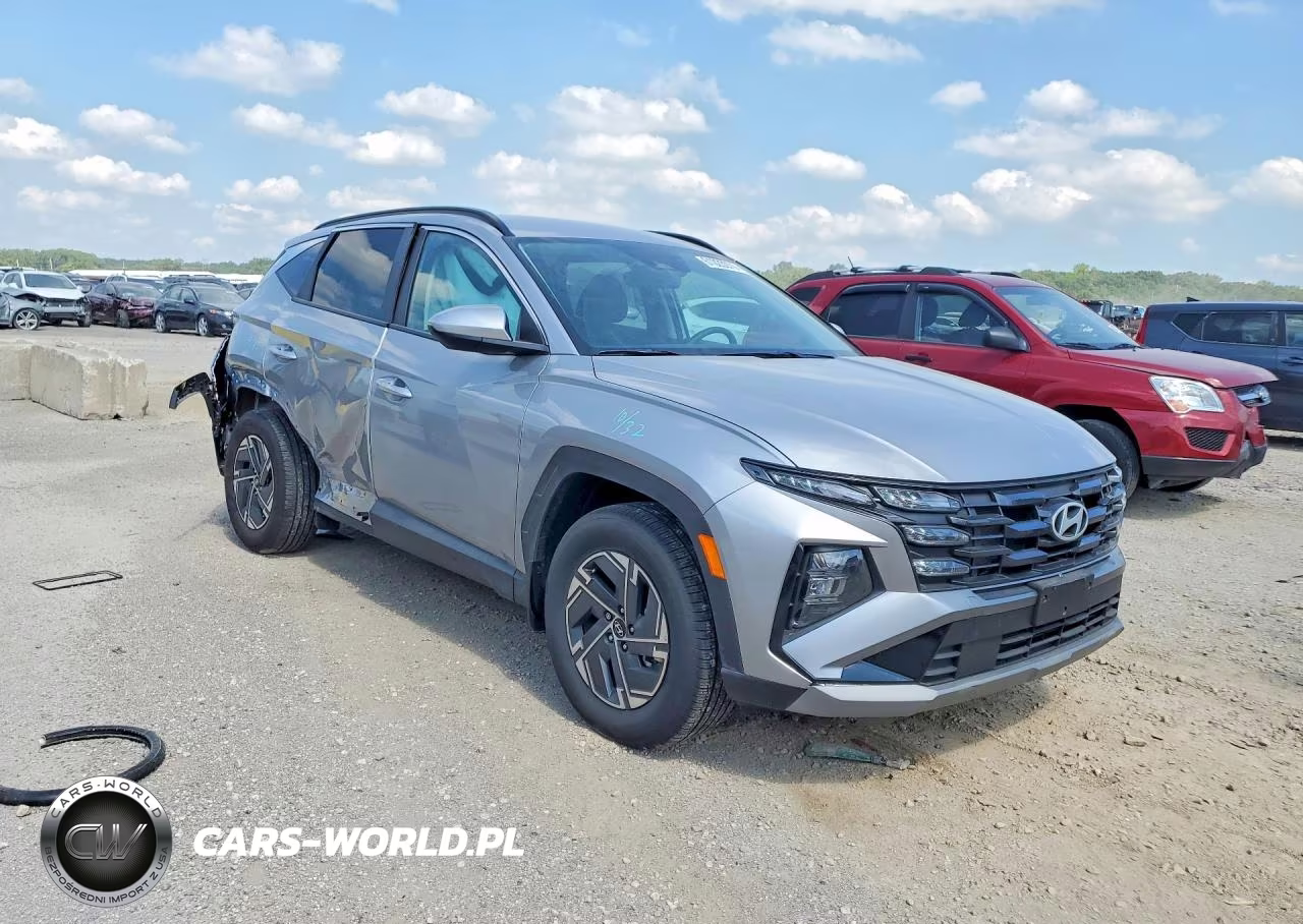 2025 Hyundai Tucson Blue VIN:KM8JBDD13SU346608 - 4