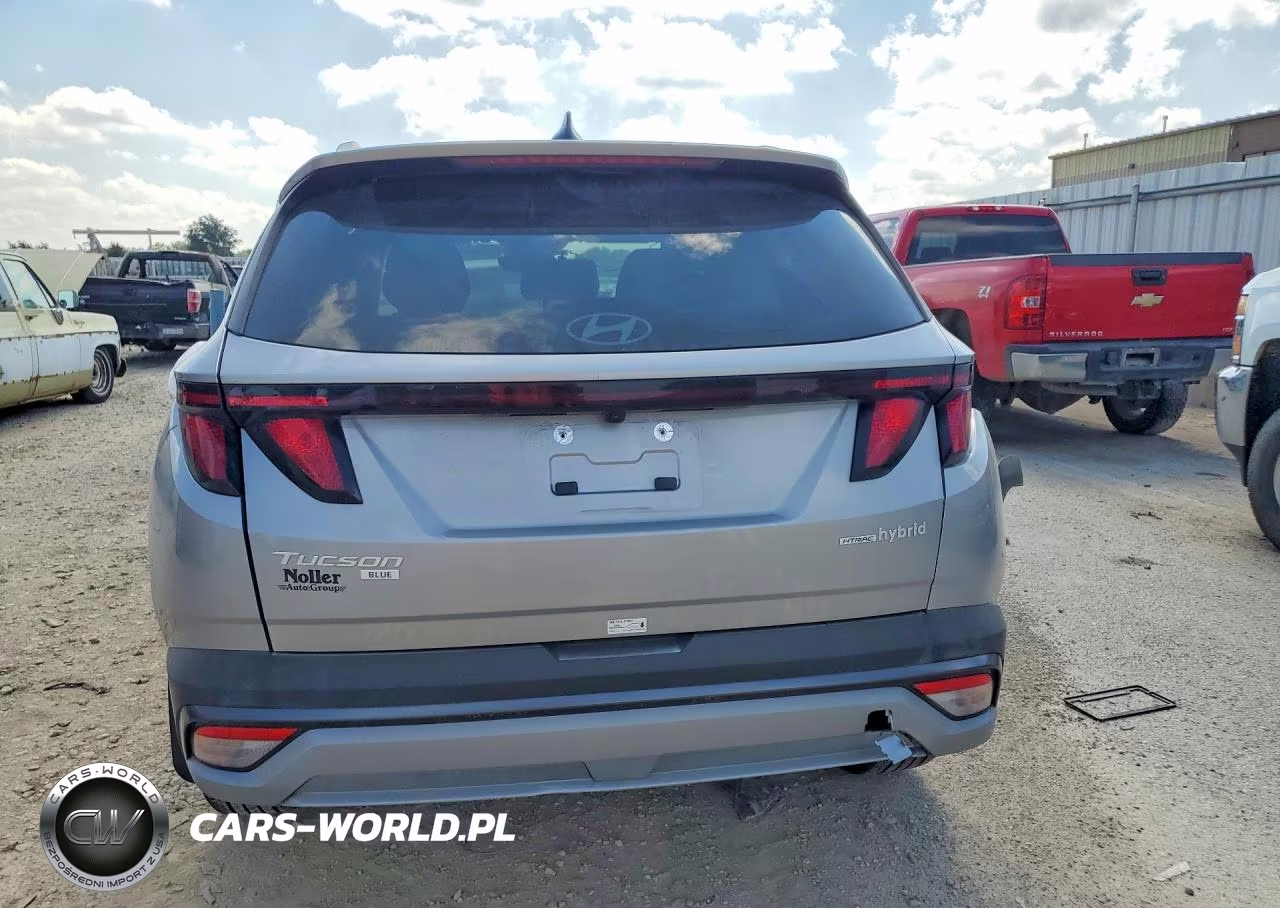 2025 Hyundai Tucson Blue VIN:KM8JBDD13SU346608 - 6