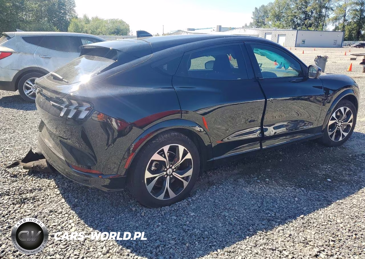 2023 Ford Mustang Mach-E VIN:3FMTK3SS9PMA46341 - 3