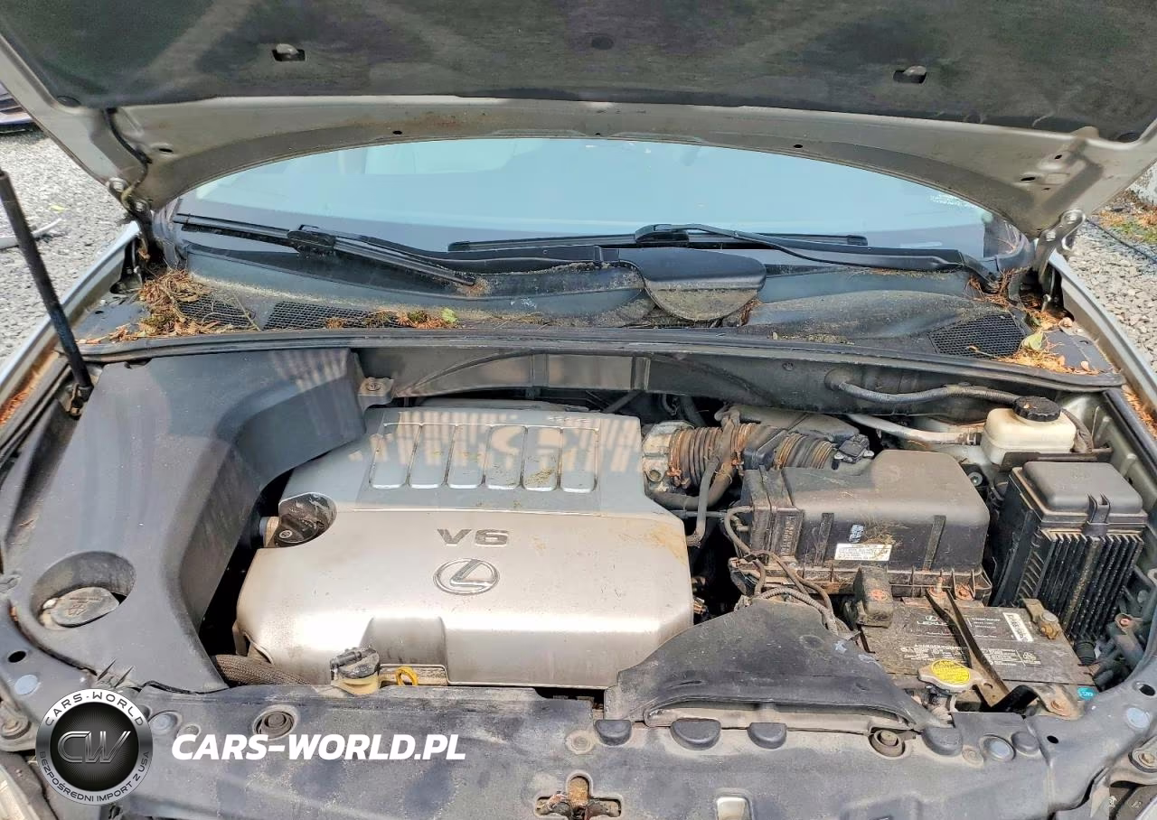2007 Lexus Rx 350 VIN:2T2HK31U97C040976 - 12