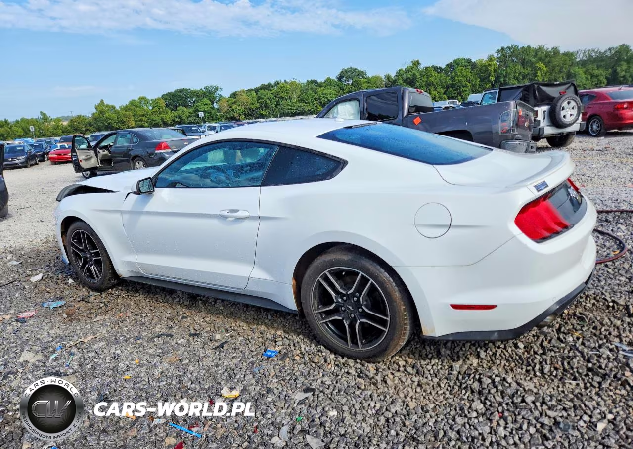 2018 Ford Mustang VIN:1FA6P8TH5J5156146 - 2