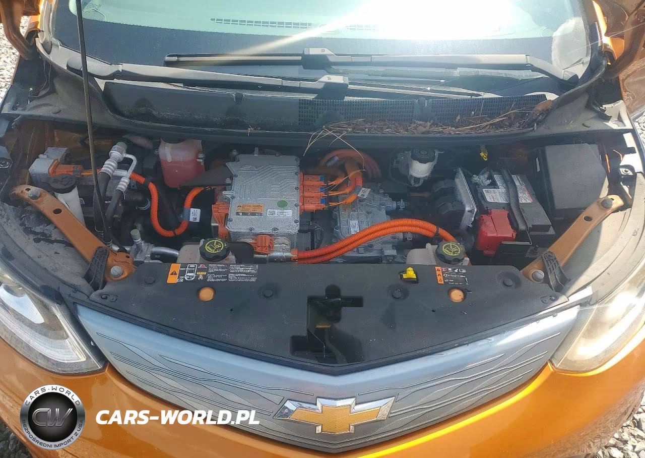2017 Chevrolet Bolt Ev Premier VIN:1G1FX6S01H4183234 - 11