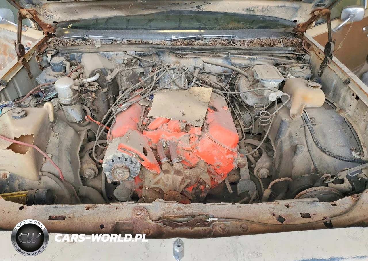 1982 Chevrolet Malibu Classic VIN:1G1AW35K8CB165519 - 11