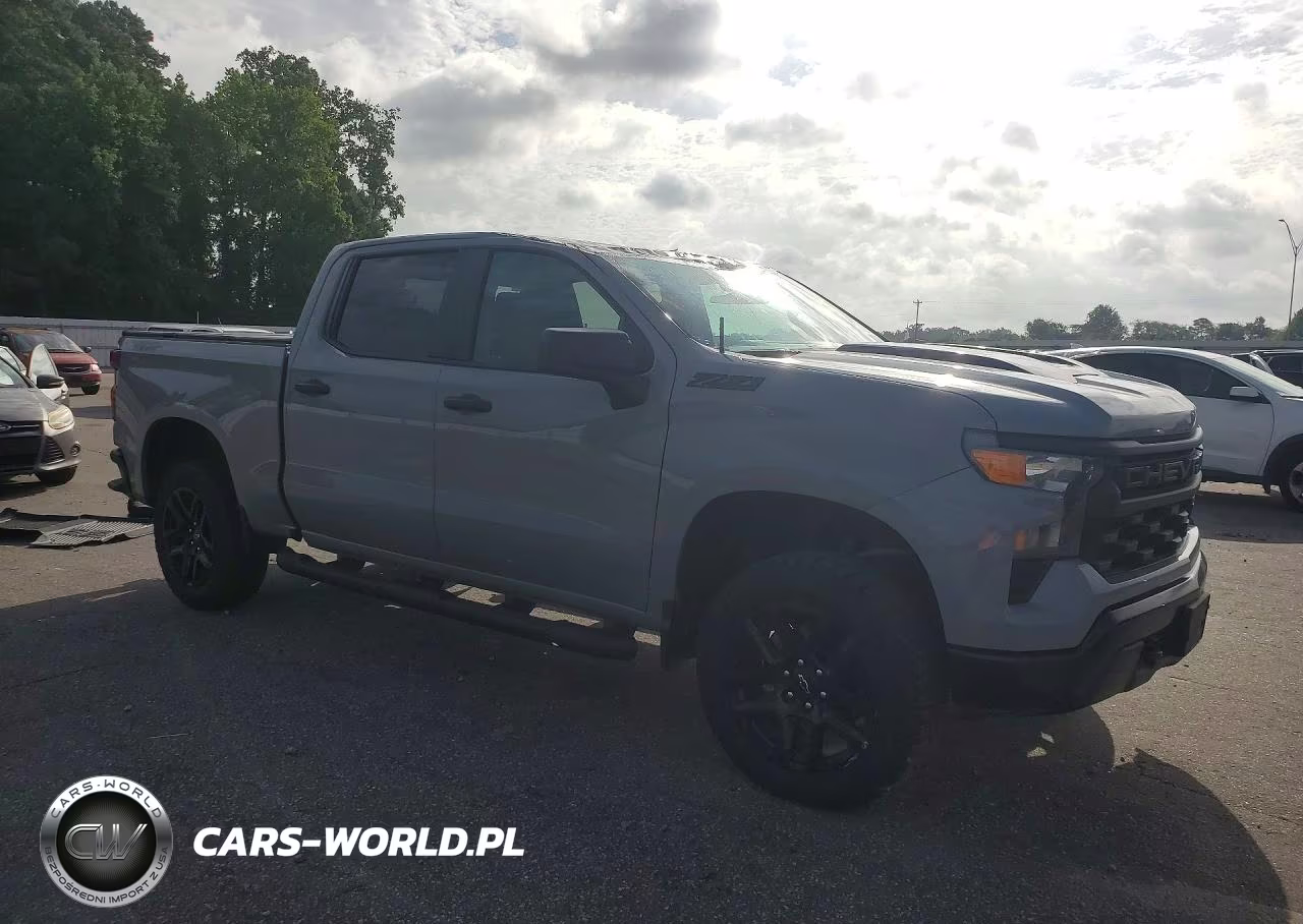 2024 Chevrolet Silverado K1500 Trail Boss Custom VIN:3GCUDCED5RG276329 - 4