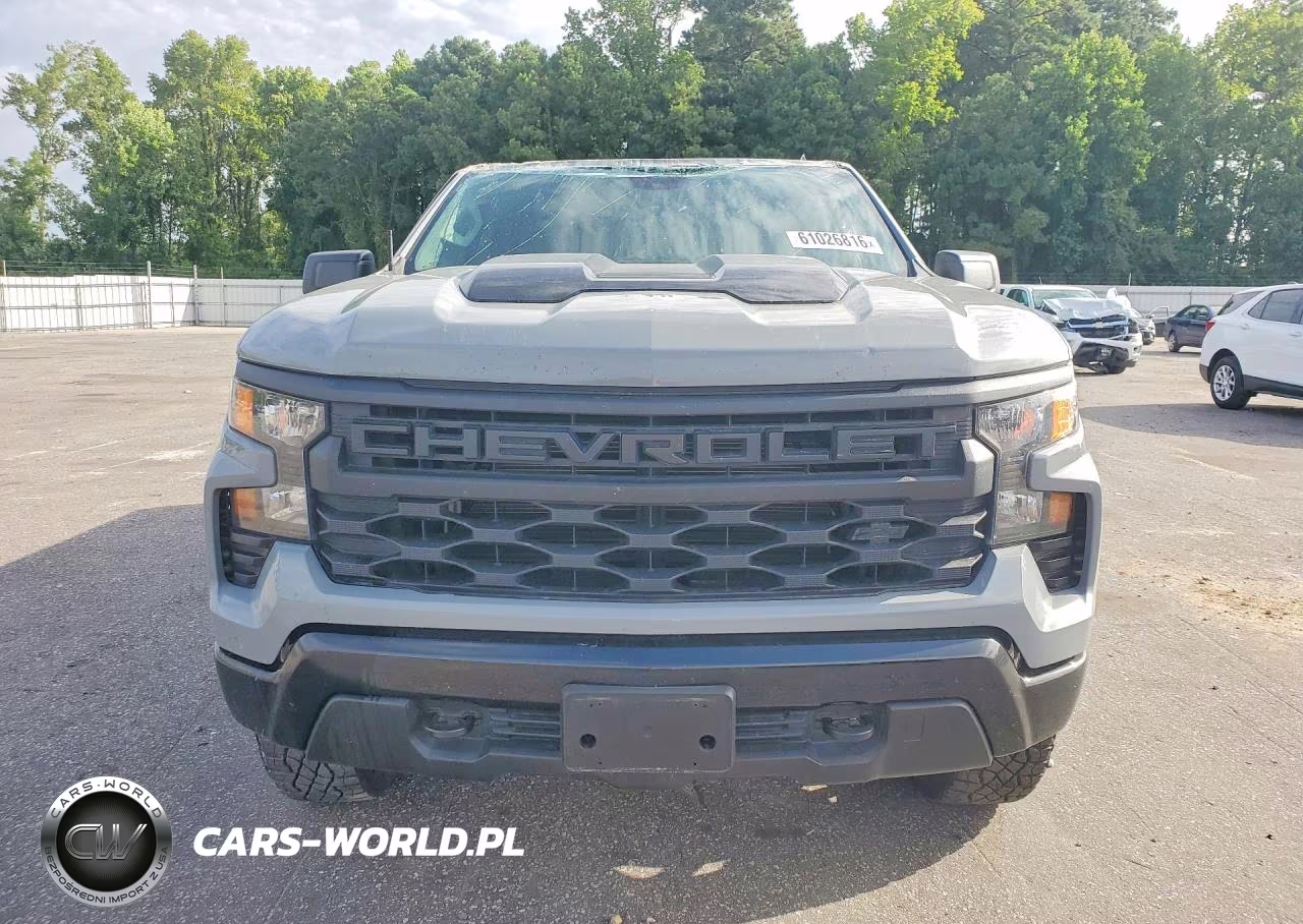 2024 Chevrolet Silverado K1500 Trail Boss Custom VIN:3GCUDCED5RG276329 - 5
