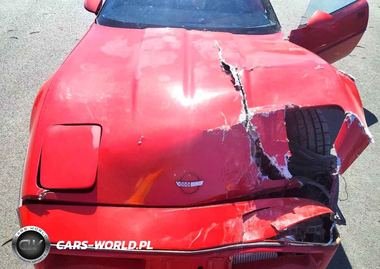 1989 Chevrolet Corvette VIN:1G1YY2182K5118867 - 11