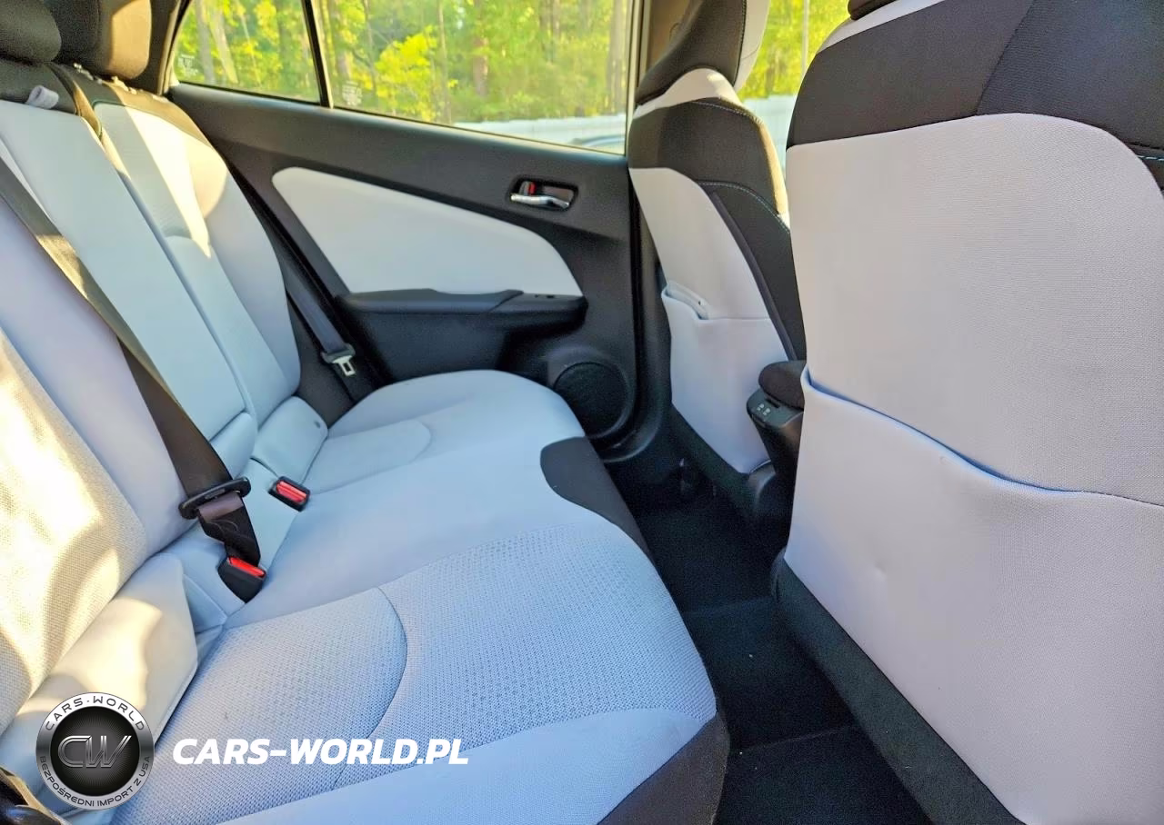 2019 Toyota Prius Le VIN:JTDKARFU0K3084259 - 10