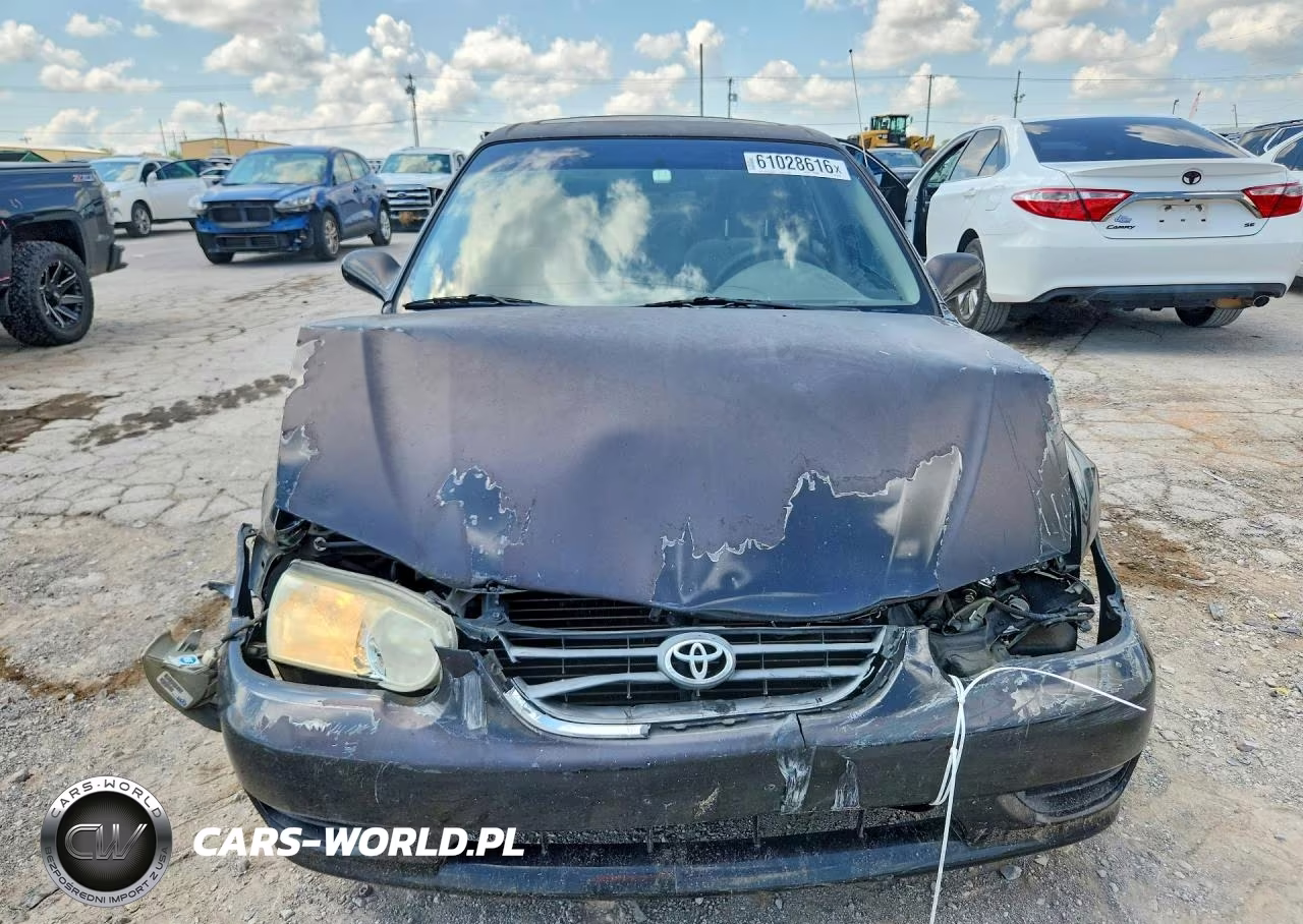 2002 Toyota Corolla Le VIN:1NXBR12E52Z641648 - 5