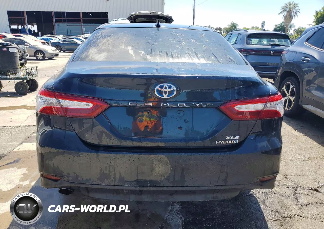 2020 Toyota Camry Xle VIN:4T1F31AK3LU010490 - 6