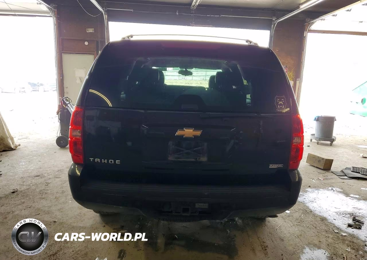 2009 Chevrolet Tahoe K1500 Lt VIN:1GNFK230X9R261955 - 6