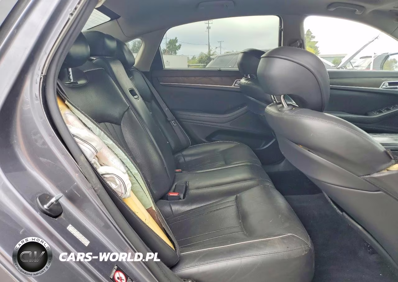 2016 Hyundai Genesis 3.8L VIN:KMHGN4JE6GU135323 - 10
