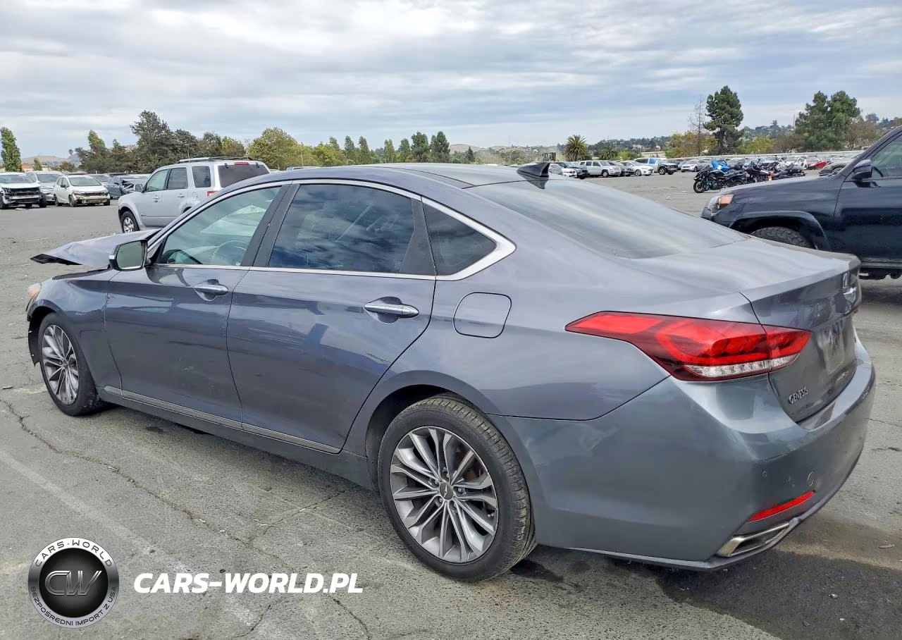 2016 Hyundai Genesis 3.8L VIN:KMHGN4JE6GU135323 - 2