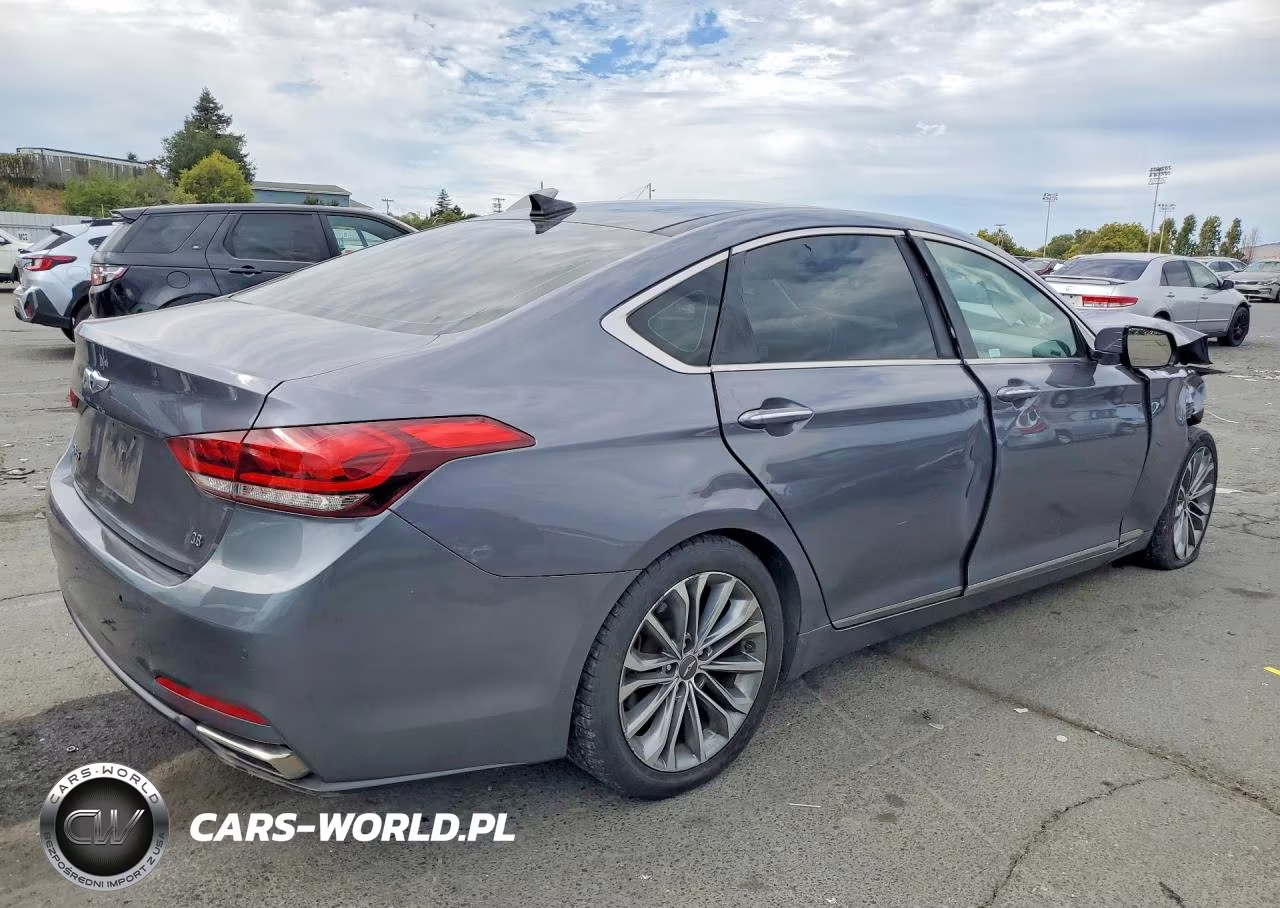 2016 Hyundai Genesis 3.8L VIN:KMHGN4JE6GU135323 - 3