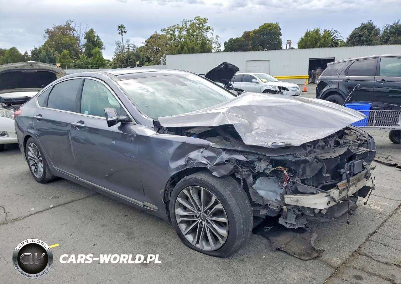 2016 Hyundai Genesis 3.8L VIN:KMHGN4JE6GU135323 - 4