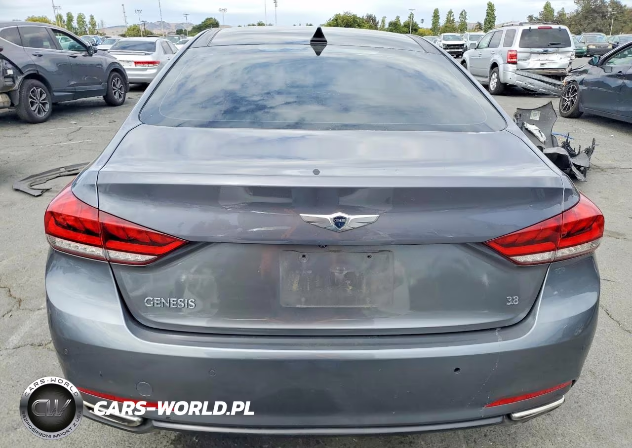 2016 Hyundai Genesis 3.8L VIN:KMHGN4JE6GU135323 - 6