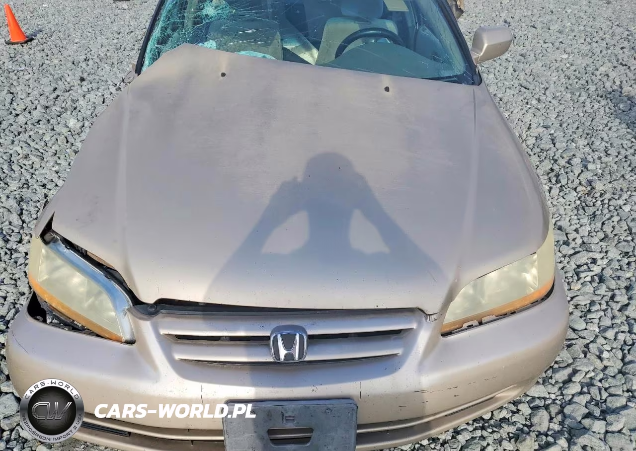 2001 Honda Accord Lx VIN:1HGCG56431A134062 - 11