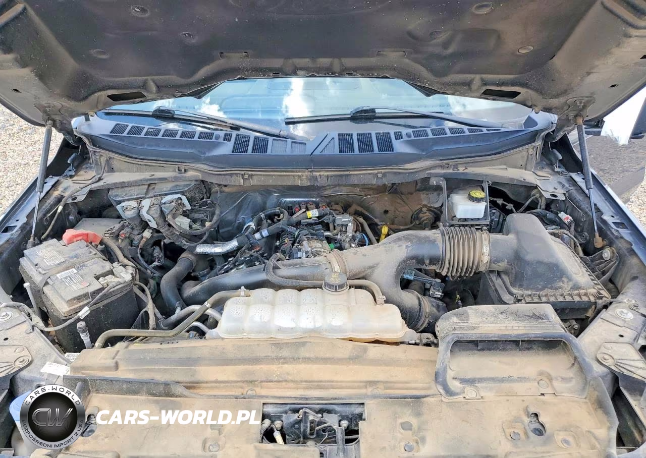 2024 Ford F150 Xlt VIN:1FTEW3LP9RKD59847 - 11