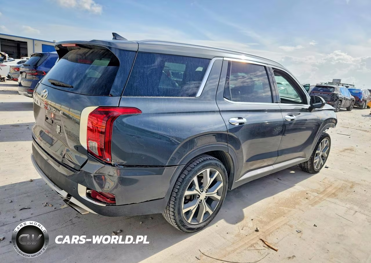 2020 Hyundai Palisade Sel VIN:KM8R44HE7LU109552 - 3