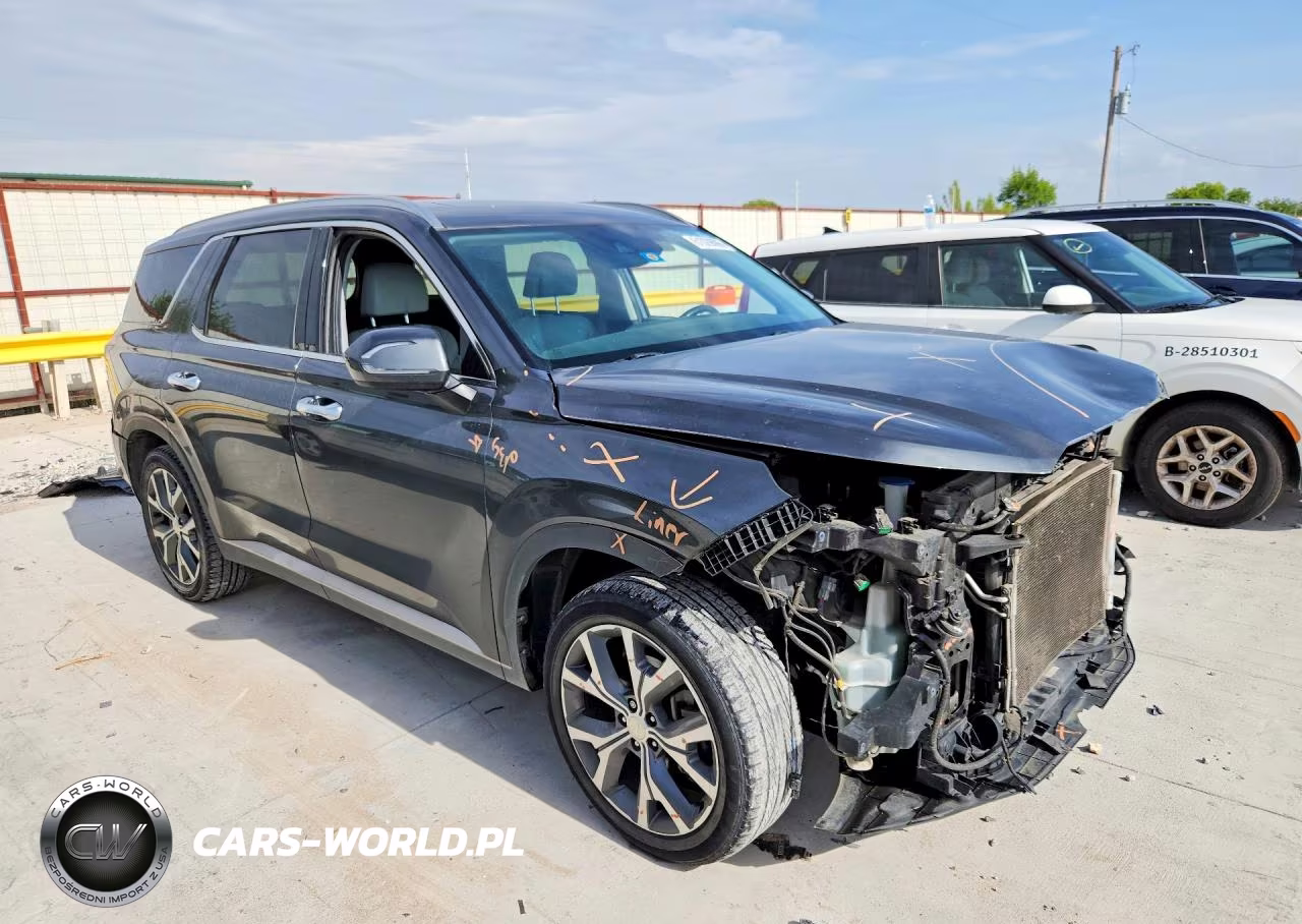 2020 Hyundai Palisade Sel VIN:KM8R44HE7LU109552 - 4