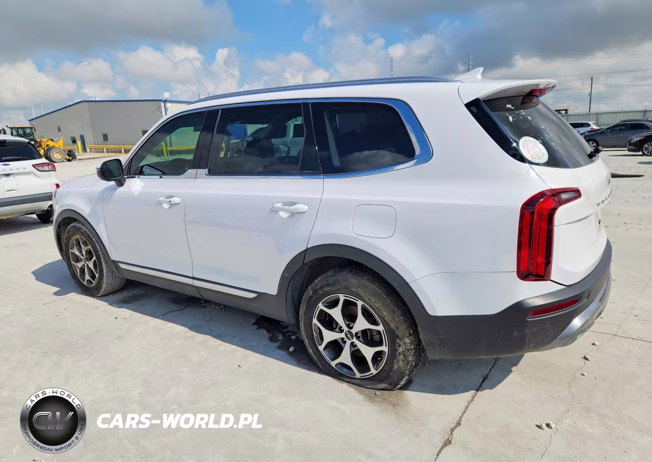2022 Kia Telluride Ex VIN:5XYP34HC2NG244598 - 2