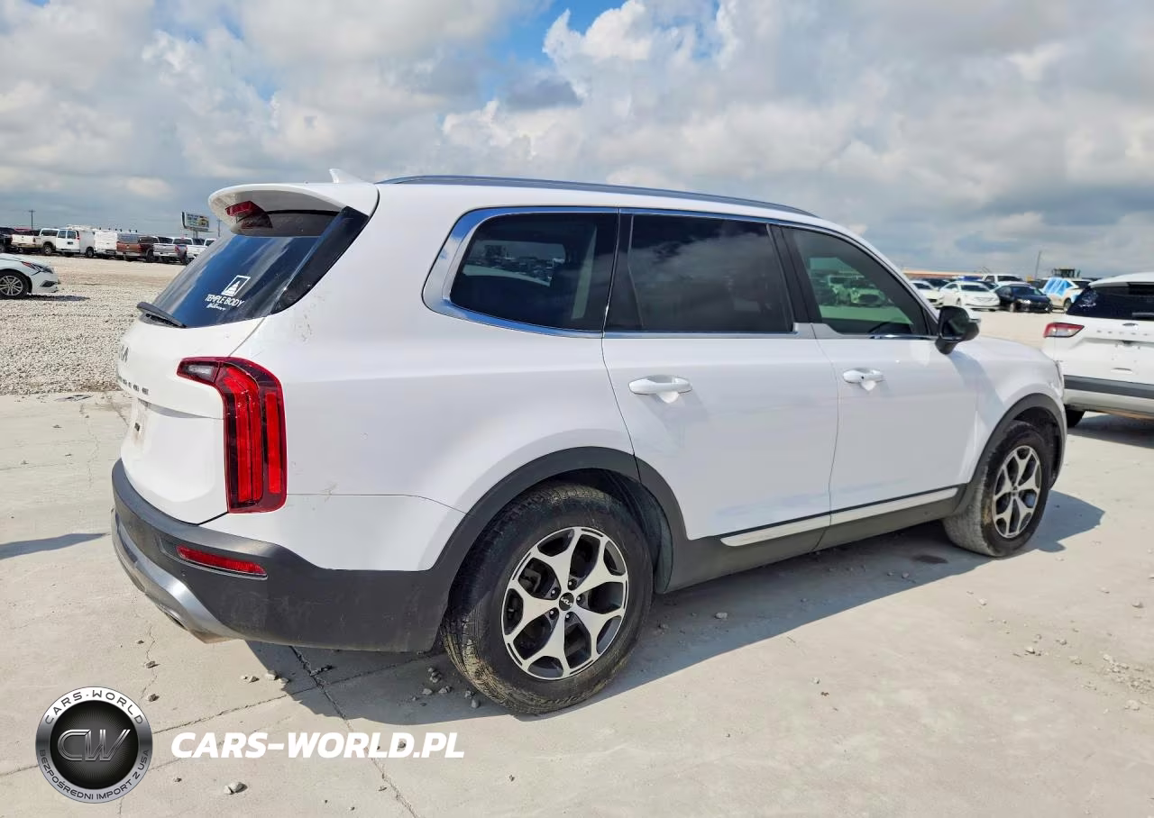 2022 Kia Telluride Ex VIN:5XYP34HC2NG244598 - 3