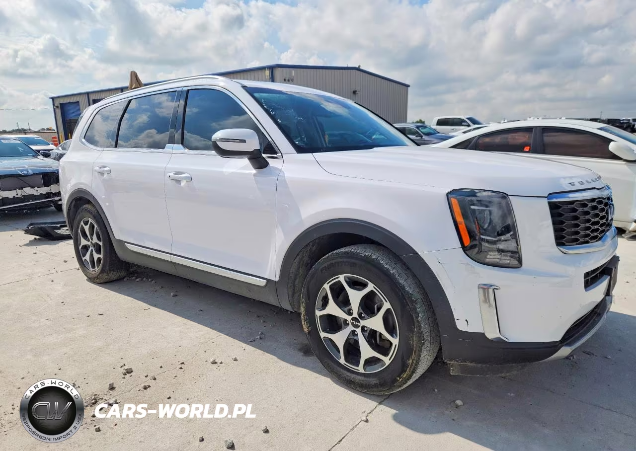 2022 Kia Telluride Ex VIN:5XYP34HC2NG244598 - 4
