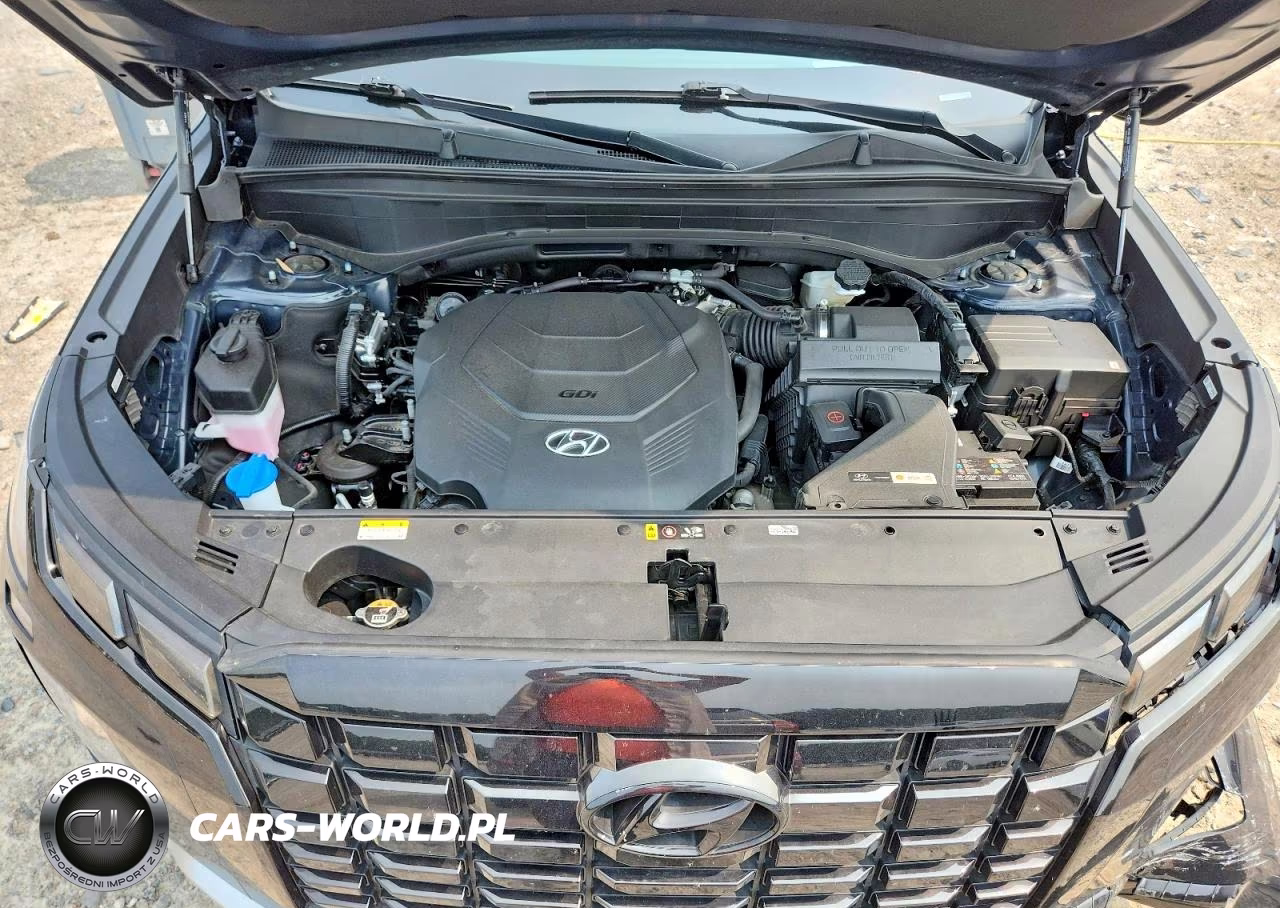 2024 Hyundai Palisade Limited VIN:KM8R5DGE2RU724596 - 12