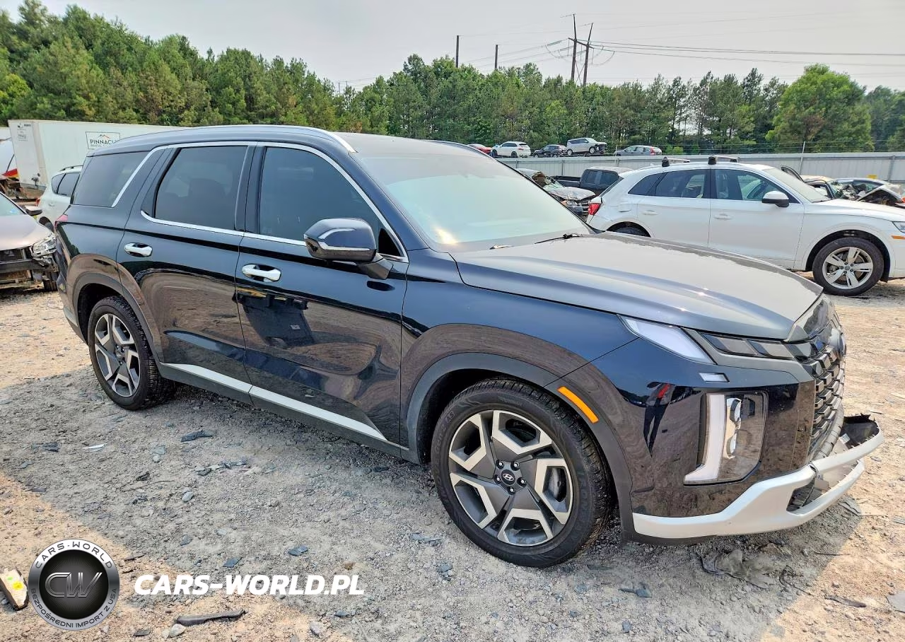 2024 Hyundai Palisade Limited VIN:KM8R5DGE2RU724596 - 4