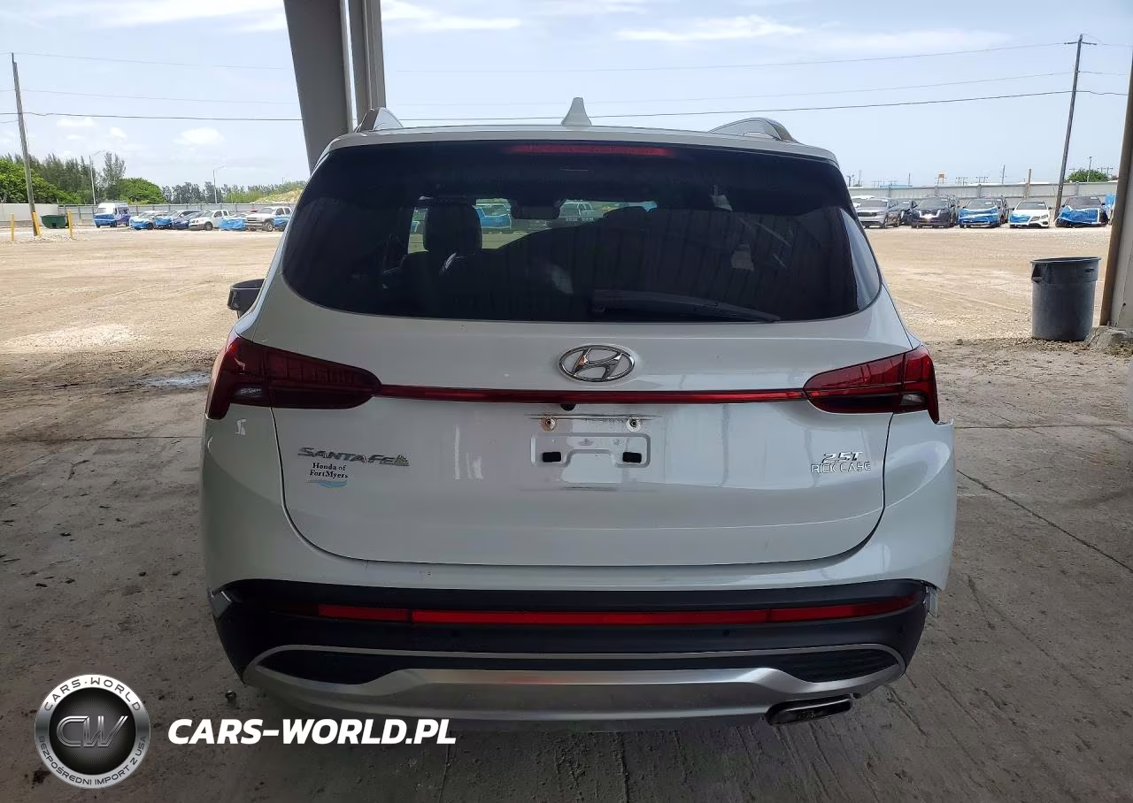 2022 Hyundai Santa Fe Limited VIN:5NMS44AL9NH444224 - 6