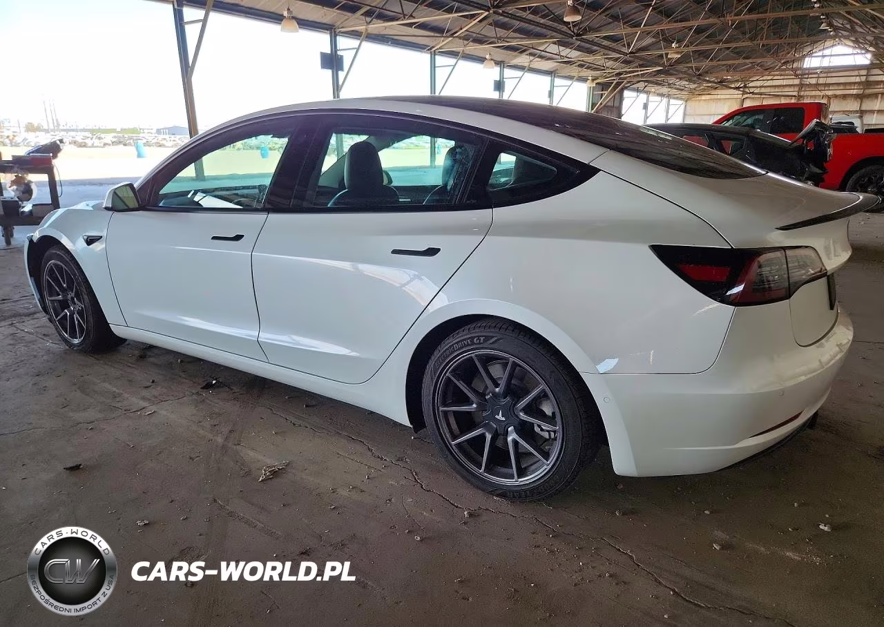 2021 Tesla Model 3 Standard Range Plus Rear-Wheel Drive VIN:5YJ3E1EA3MF982541 - 2