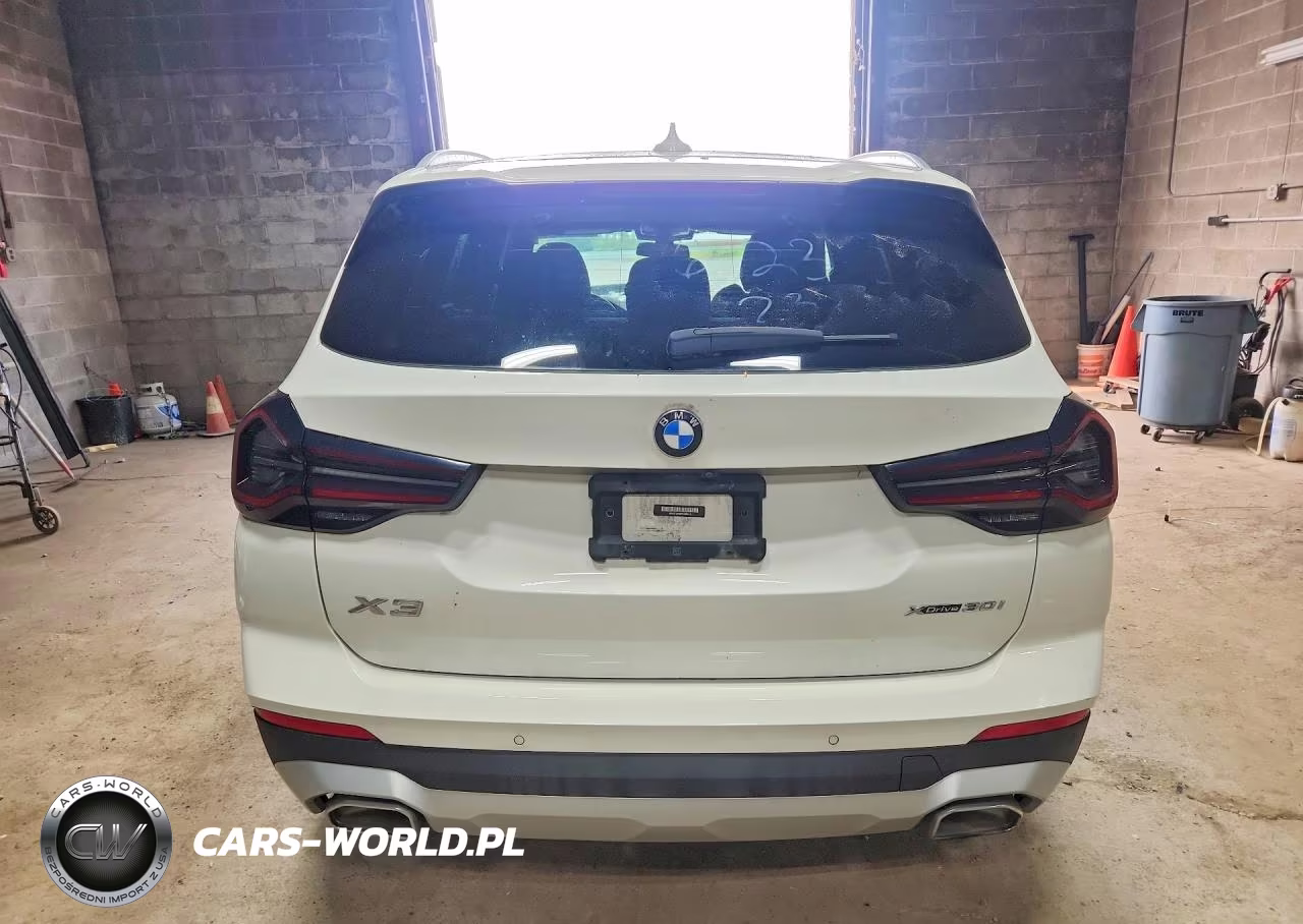 2023 BMW X3 xDrive30I VIN:WBX57DP09PN188113 - 6